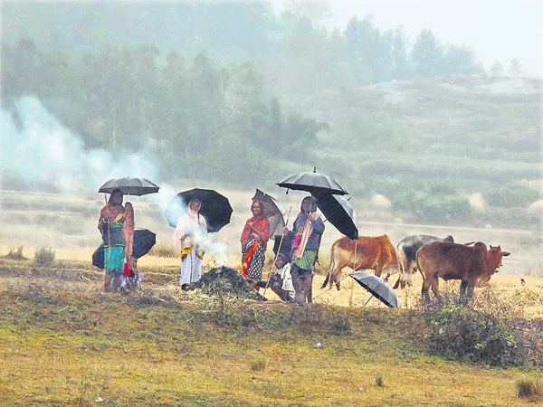 45 people dead with the Effect of cold winds in two days - Sakshi