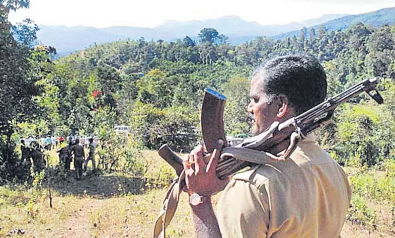 Chhattisgarh Naxals Use Effigies, Dummy Guns To Confuse Security forces - Sakshi