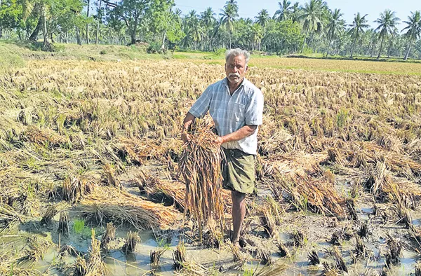 TDP Govt moving away from giving compensation to farmers - Sakshi