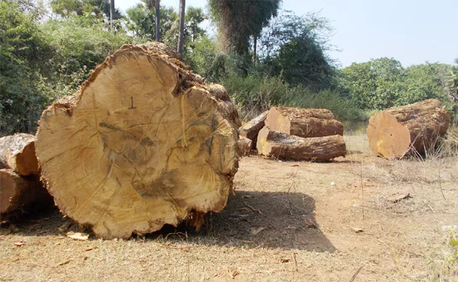 Wood Smuggling In East Godavari - Sakshi