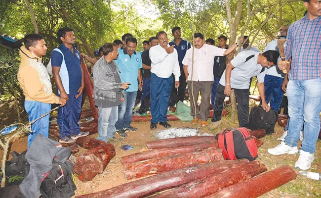 Sandlewood Smugglers in Chittoor - Sakshi