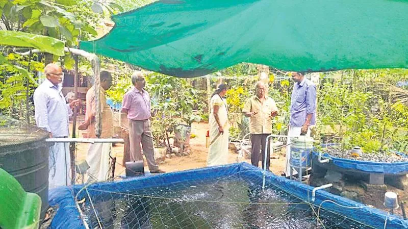 Organic vegetable and aquaculture - Sakshi