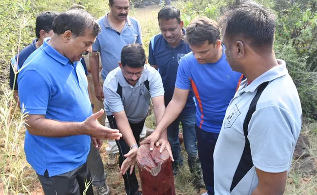 Sandlewood Smuggling in Chittoor - Sakshi