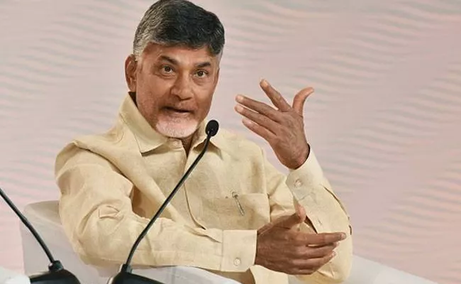 ap cm chandrababu lays stone for Kadapa steel plant - Sakshi