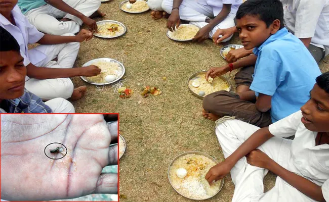 Midday Meals Scheme Delayed in Vizianagaram - Sakshi