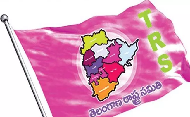 The peddapally panchayat in the TRS  - Sakshi