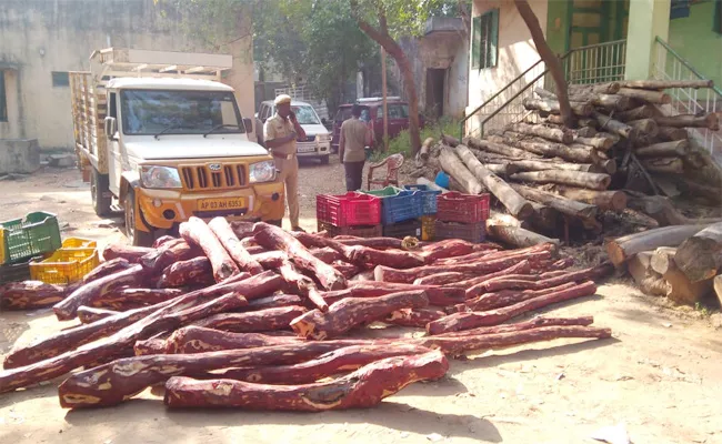 Sandlewood Smuggling in Chittoor - Sakshi