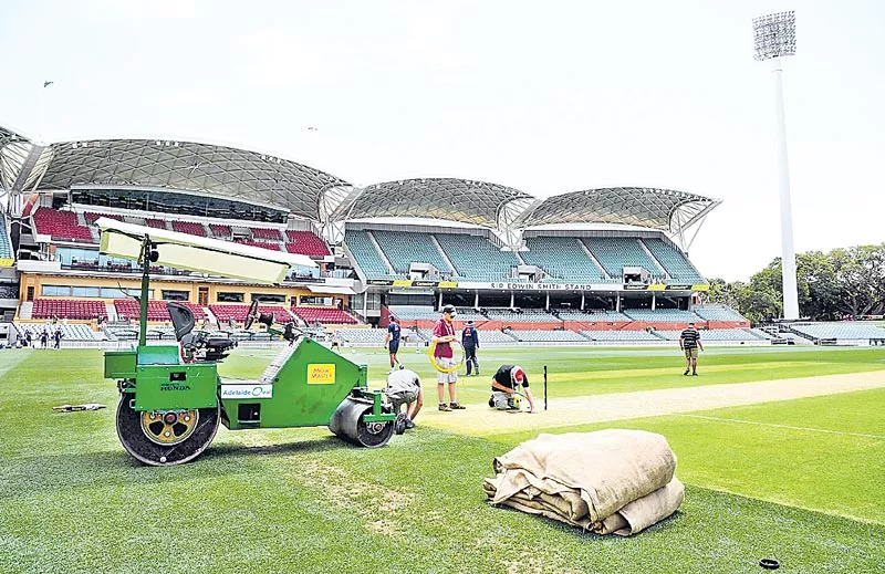 Green pitch expected at Adelaide as curator promises to leave some grass for first Test - Sakshi