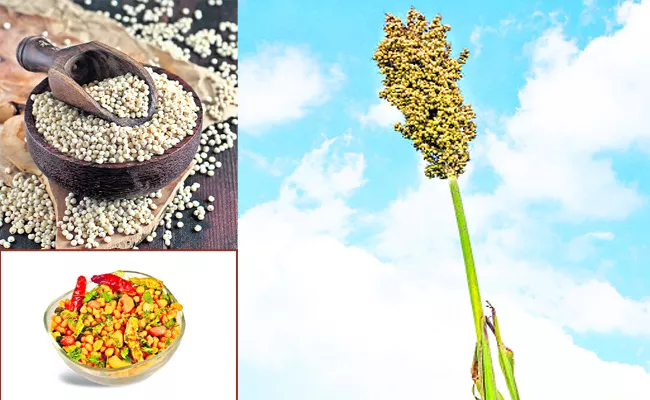 Sorghum Recipes special story - Sakshi