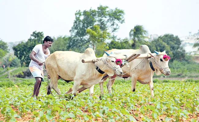 Agriculture Department started  for farmers loan - Sakshi