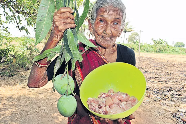 Youtube Sensation Mastanamma Passes Away - Sakshi