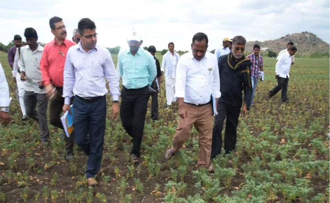 Draught Officials Visit Anantapur - Sakshi