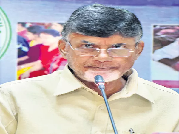 Chandrababu comments at the central team meeting - Sakshi