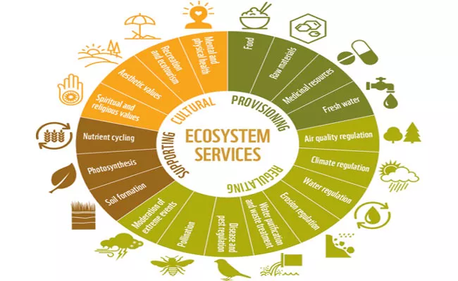 Living Planet Report 2018 On Biodiversity - Sakshi