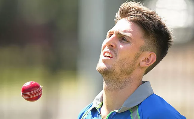 Turner called up as Mitchell Marsh cover in ODI squad - Sakshi