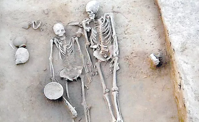 Harappa grave of ancient couple reveals secrets - Sakshi