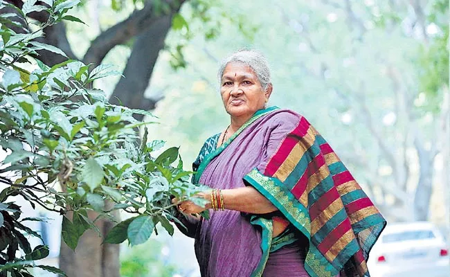 husbend and wife running greenery park and agriculture - Sakshi