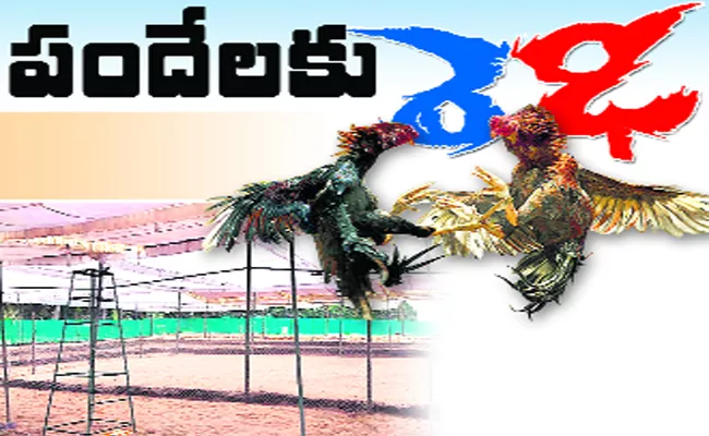 TDP Leaders participate Hen Fights in East Godavari - Sakshi