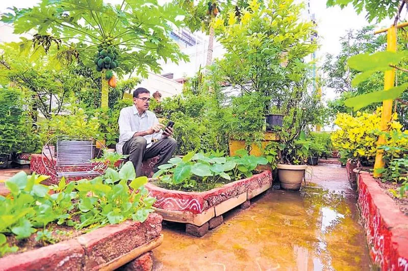 Gardening for biodiversity - Sakshi