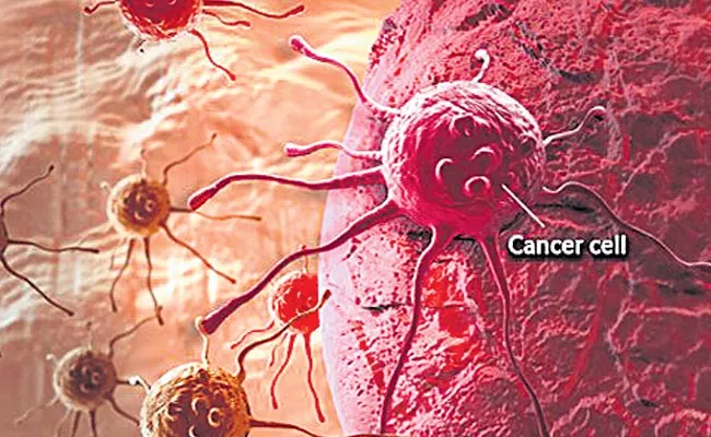 Cancer cells Become fat - Sakshi