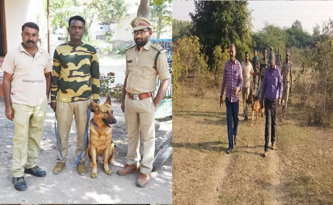 Dog Squad Play Key Role In Finding Poachers In Kawal Forest - Sakshi