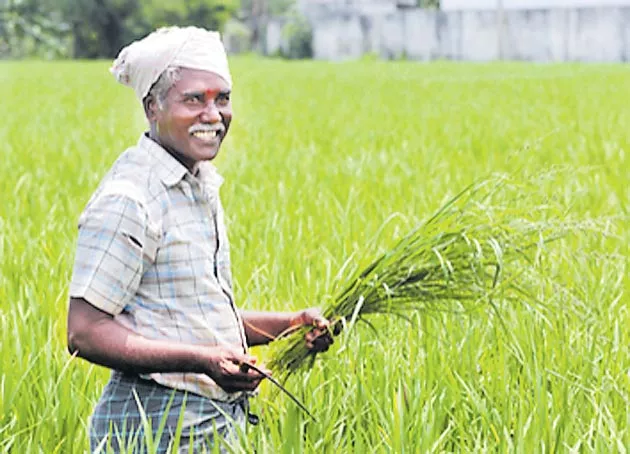 Arun Jaitley hints at farm relief package for farmers - Sakshi