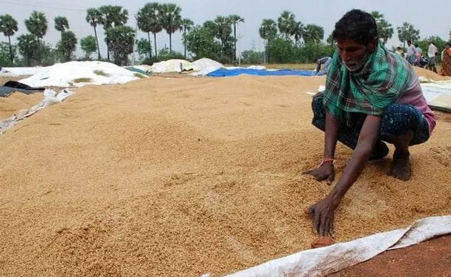 Grain purchase Centers Karimnagar - Sakshi