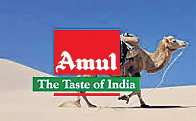 Amul launches camel milk in select markets - Sakshi