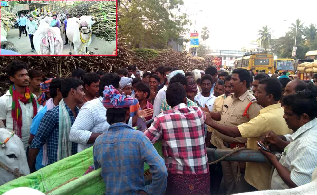 Metro Bus Accident to Sugar Bullock Cart in Krishna - Sakshi