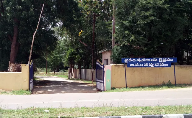 Life Time Prisoners Waiting For Clemency Anatnapur - Sakshi