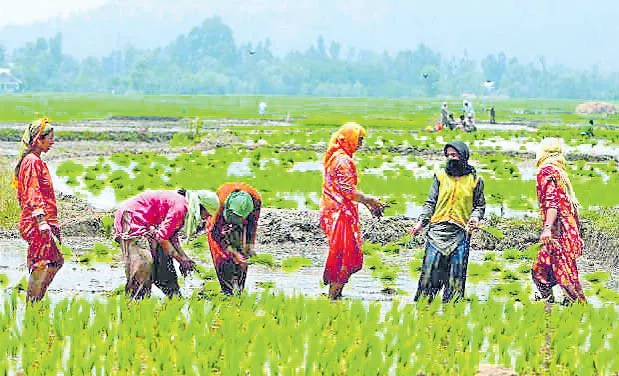 Rs 1.5 lakh crore for Agriculture sector budget - Sakshi