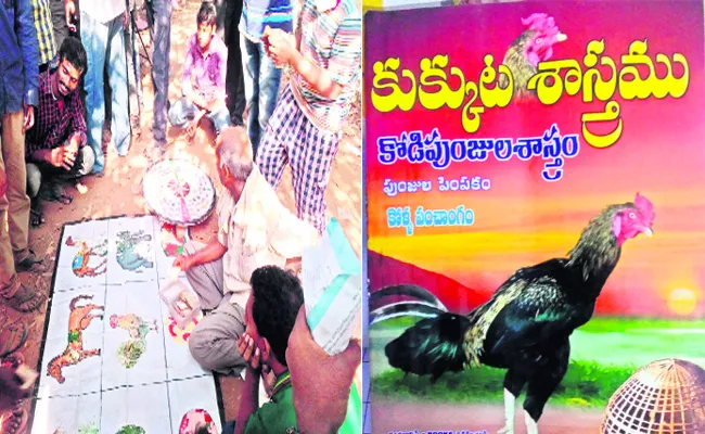 Sankranthi Kodi Pandalu Khammam - Sakshi