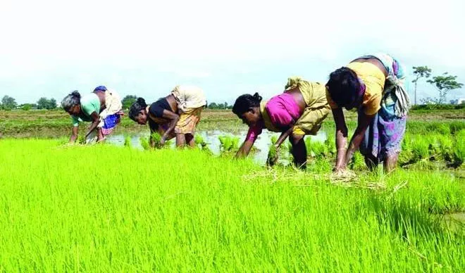 Modi govt to announce Rs 4000 per acre direct transfer, crop loan - Sakshi