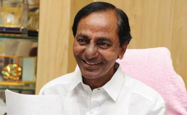 KCR for Anniversary of Visakhapatnam Sharda Peetham - Sakshi