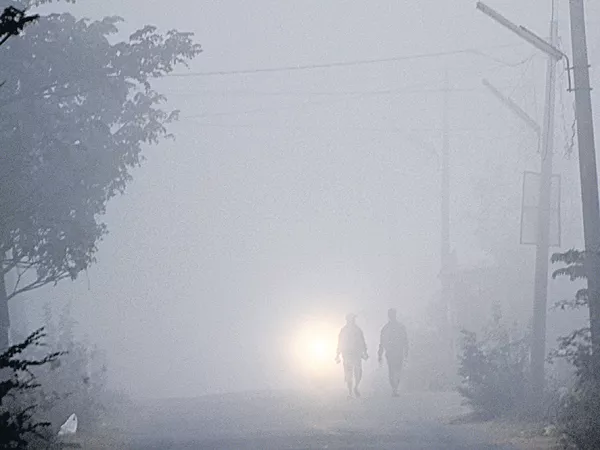 Today there are severe coldest winds in northern Telangana - Sakshi