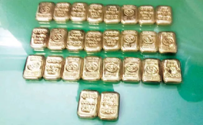 Gold Biscuits Find In Bush Tamil Nadu - Sakshi