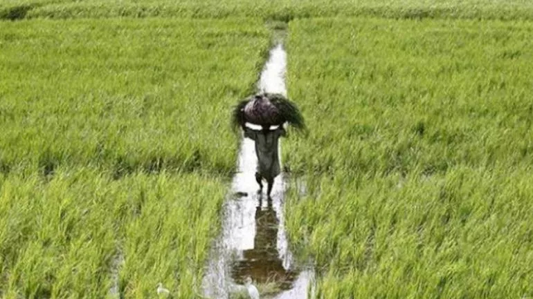 Piyush Goyal Announces Farmers Benefit Scheme - Sakshi