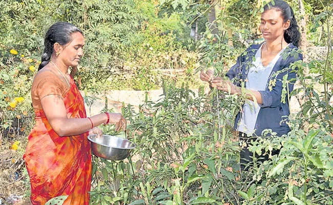 That is the town A flower garden - Sakshi