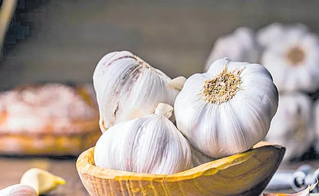 Weight loss with garlic - Sakshi