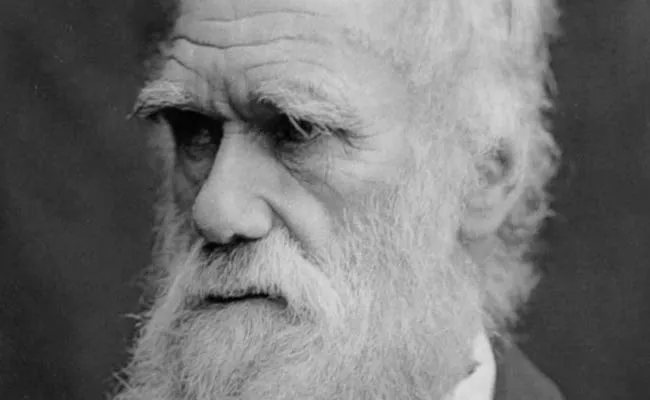 Article On Charles Darwin On His Birth Anniversary - Sakshi