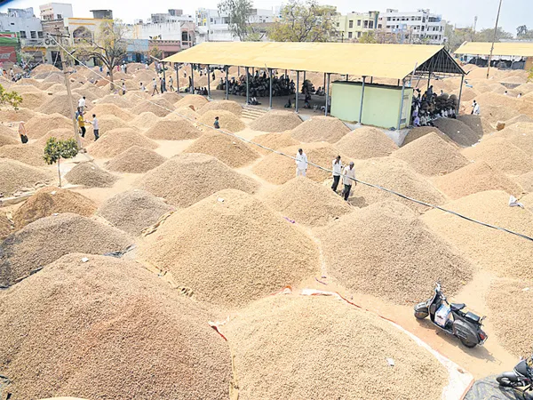 40 thousand bags of peanuts sold for the same day in the market - Sakshi