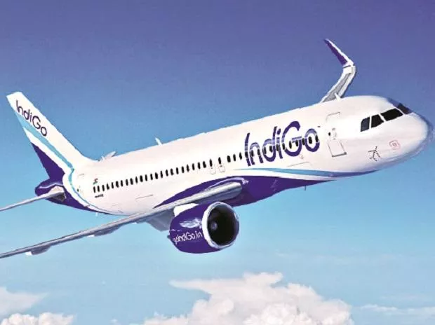 IndiGo Pulls out 30 Flights on Tuesday, says Cancellations to Continue - Sakshi