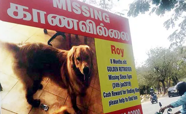 Flex banners For Missing Pet Dog in Tamil Nadu - Sakshi