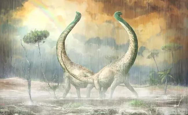 heart shaped tail in Newly discovered dinosaurs - Sakshi