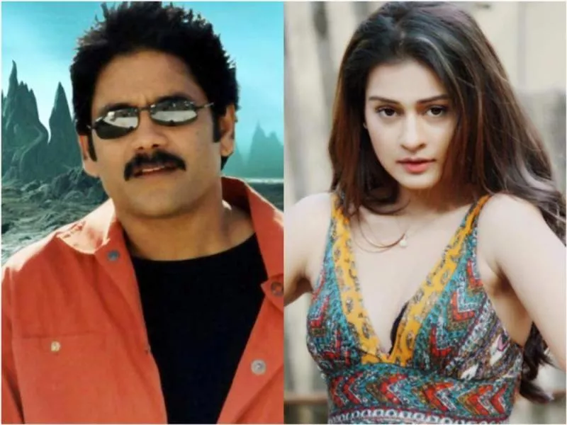 Payal Rajput in Nagarjuna's Manmadhudu 2? - Sakshi