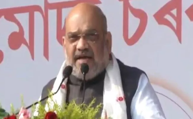 Amit Shah Says Will Not Let Assam Become Another Kashmir - Sakshi