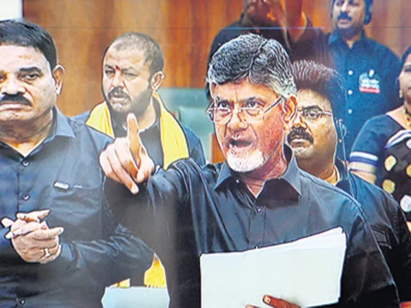 Chandrababu Fires On BJP Leaders - Sakshi