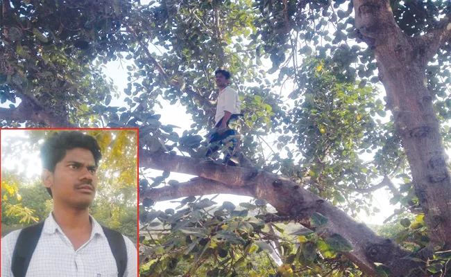 Young Man Climb Tree For Caste Certificate - Sakshi