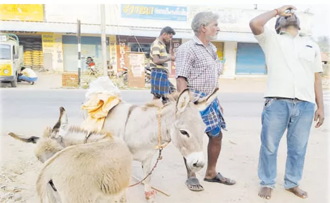 High Demand To Donkey Milk In Tamilnadu - Sakshi