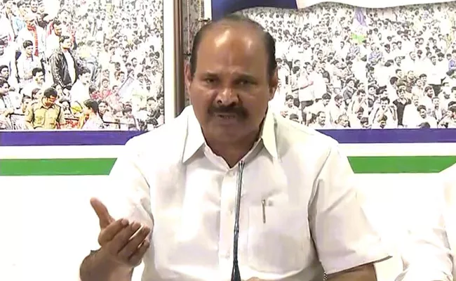 YSRCP Leader Kolusu Parthasarathy Comments On Chandrababu - Sakshi